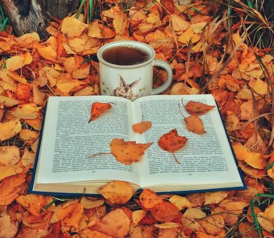 Забайкальская осень – 2024: что ждет почитателей литературы Забайкалья